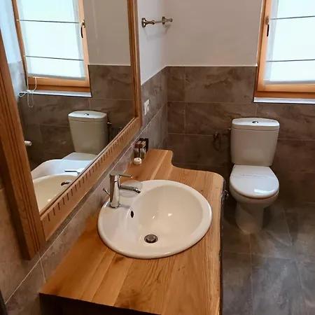 Pensiunea Coronita Viseu de Sus Room photo